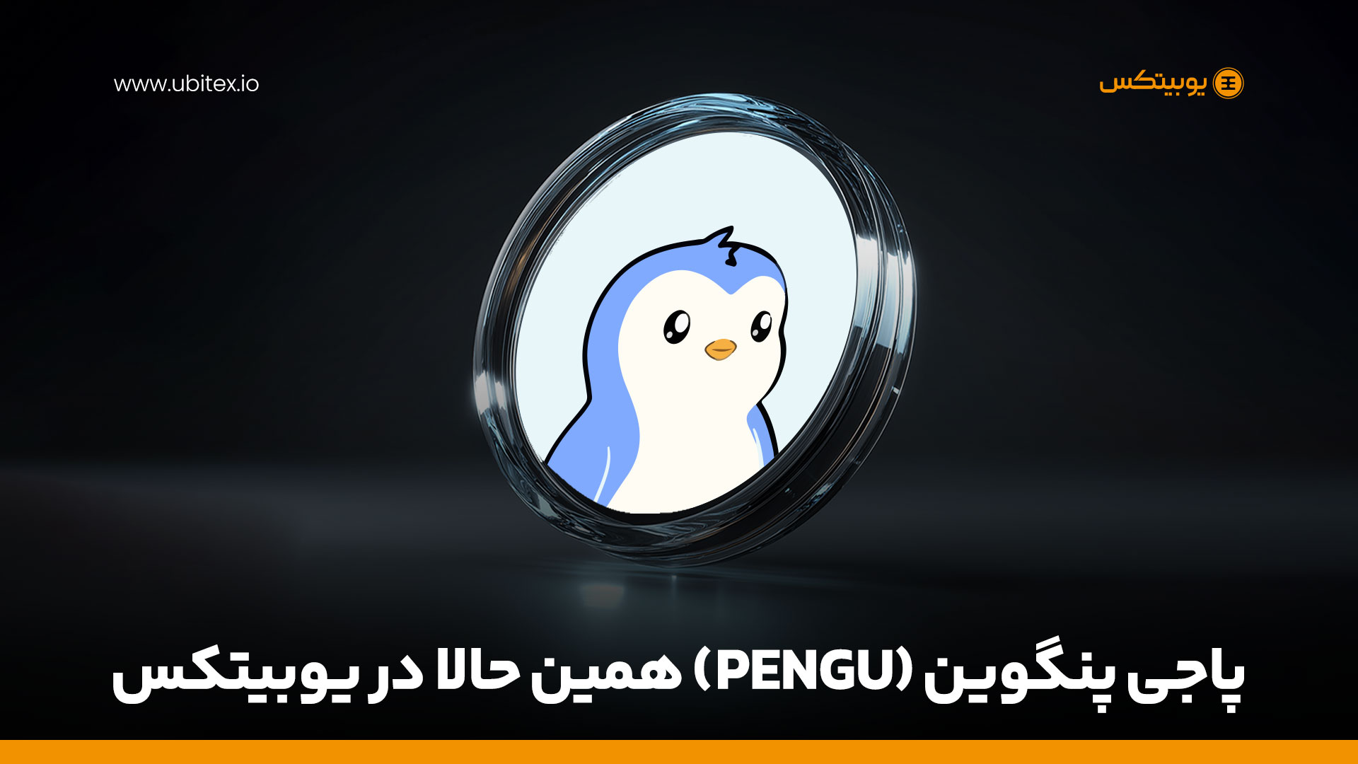 ارز پاجی پنگوئن (PENGU)، فرصت جدید سرمایه‌گذاری در رمزارزها