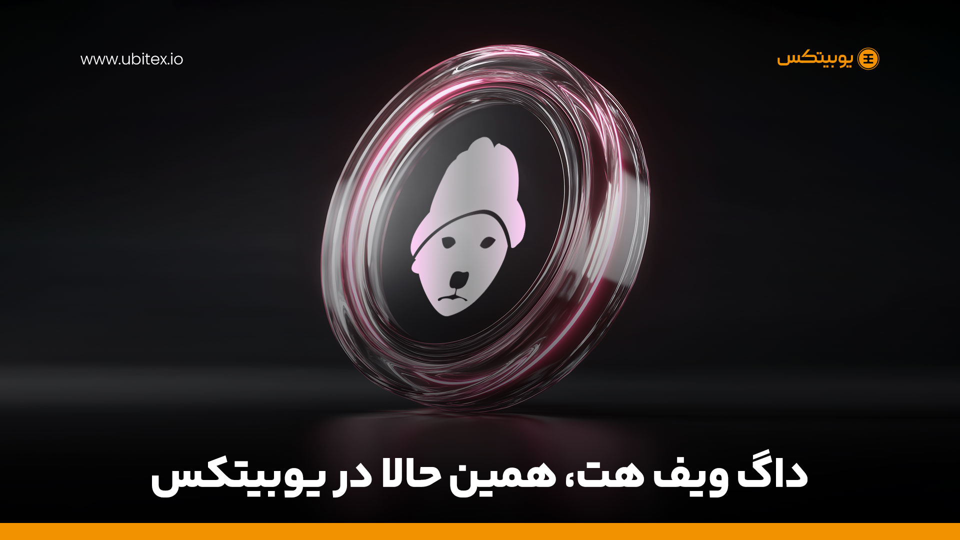 معرفی ارز دیجیتال داگ ویف هت (Dogwifhat | WIF)